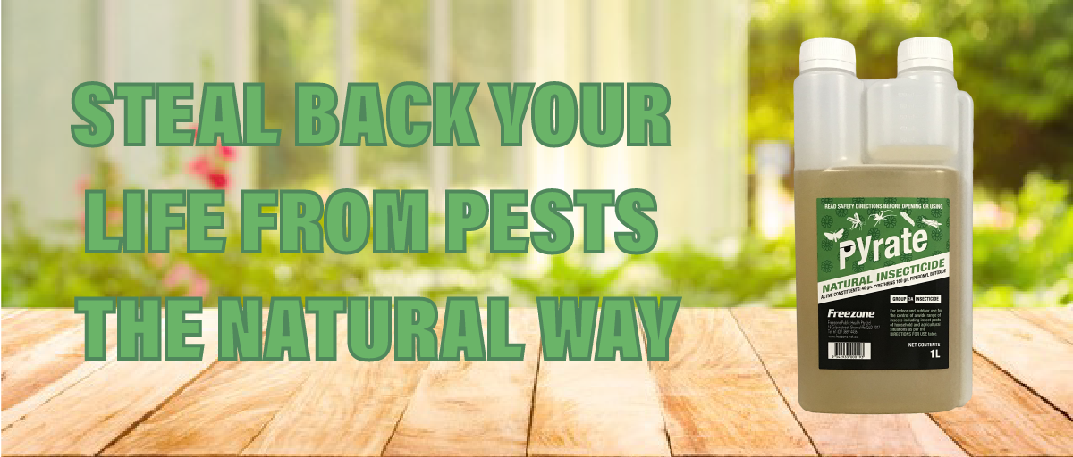 DIY pest control Australia