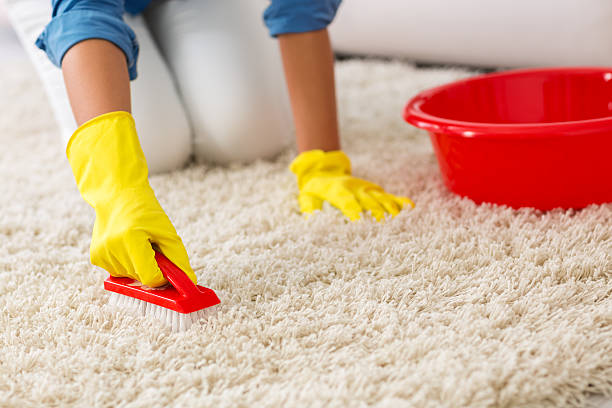  Things to Consider while Choosing a Professional Carpet Cleaner 
