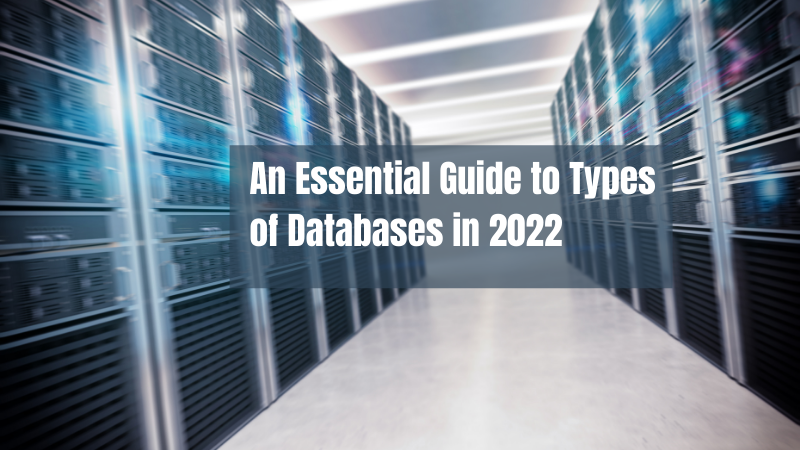 An Essential Guide to Types of Databases in 2022