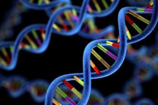 Genomics Market Expanding with Technological Drive of Pharmaceutical Companies