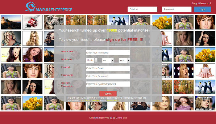 Dating PHP Script with Open Source Code by Narjis Infotech