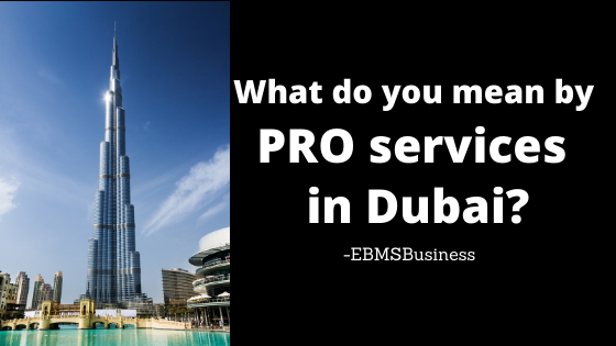 What do you mean by PRO services in Dubai?