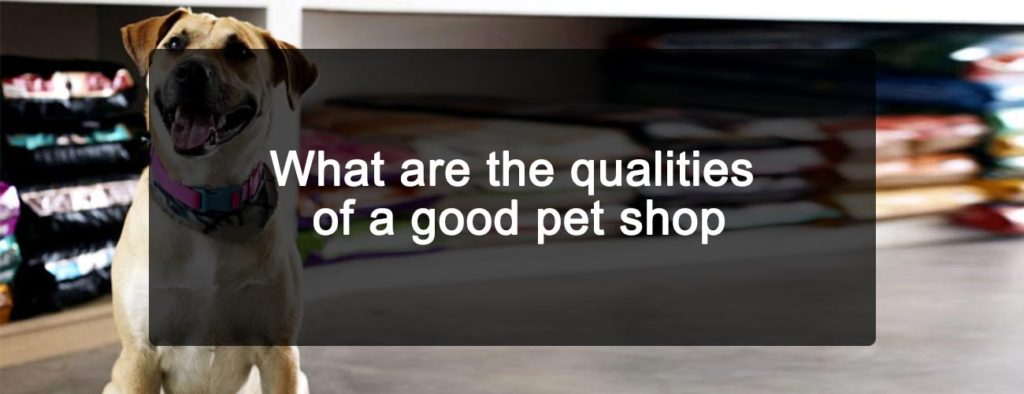 What are the qualities of a good pet shop