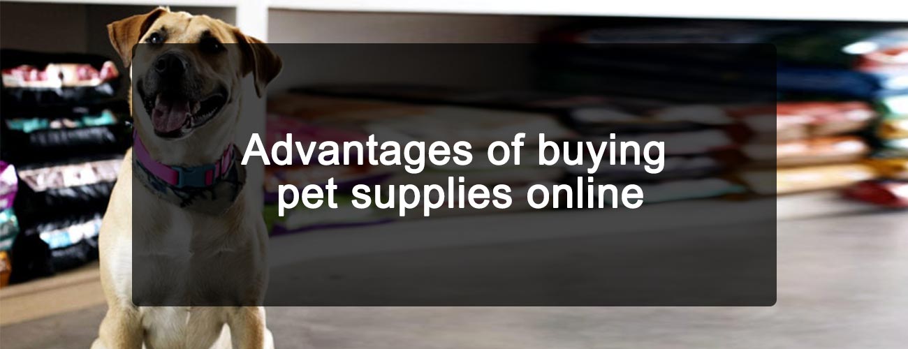 Advantages of buying pet supplies online