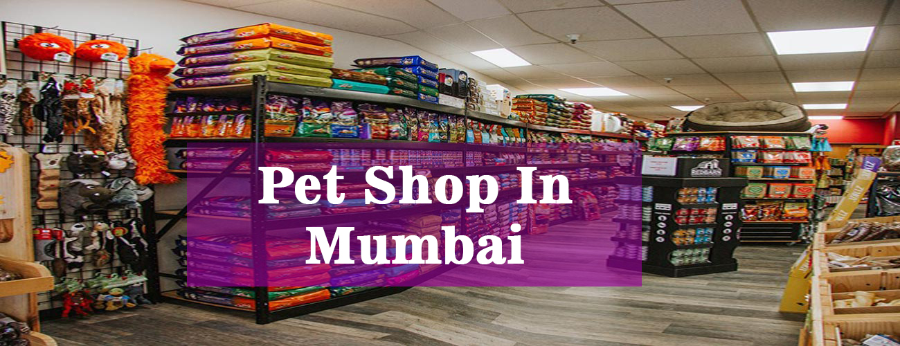 Company profile - Darnich Dog Articles