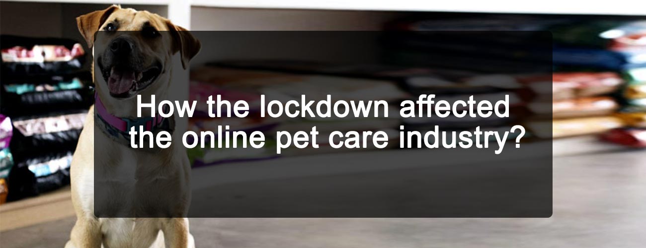 How the lockdown affected the online pet care industry?