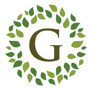 Henna by henna manufacturer in India