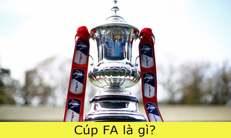 the development of formation and the regulations of the FA cup