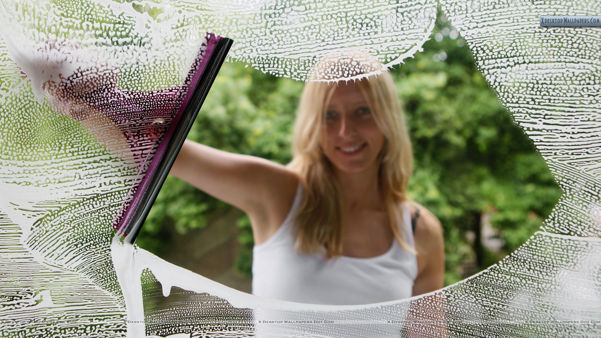 Window Cleaning Services in Bethel Heights AR