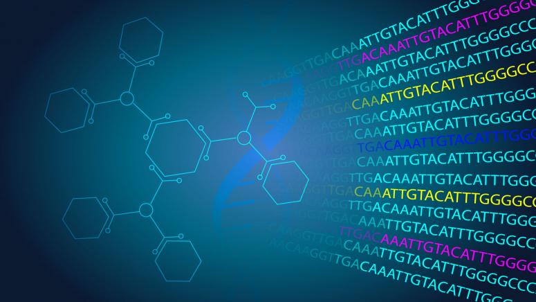 Global Bioinformatics Market Report 2020 Forecast to 2025