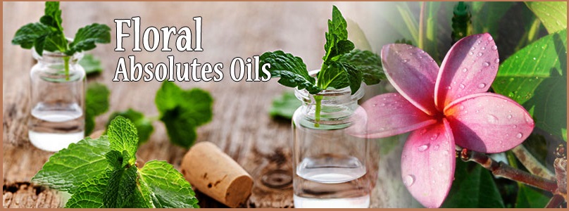 Make Summers Relaxing with Naturesnaturalindia Exclusive Range of Floral Absolute Oils!!