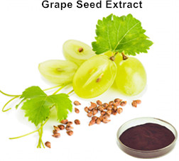 How to consume grape seed extract and its benefits?