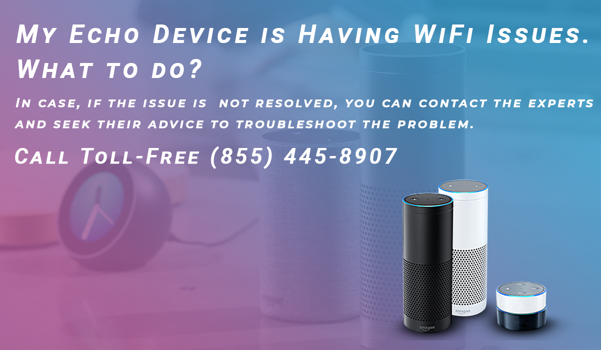 How to download the Amazon Alexa app for Echo Setup?