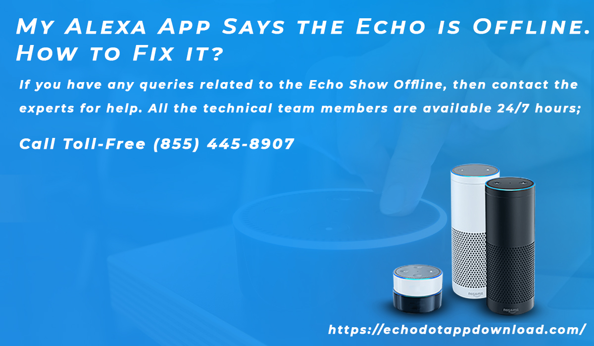 My Alexa App Says the Echo is Offline. How to Fix it?