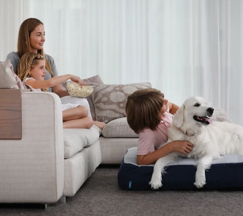 Dozer Bedding For Dog