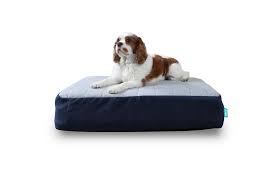 Dozer bed for dog