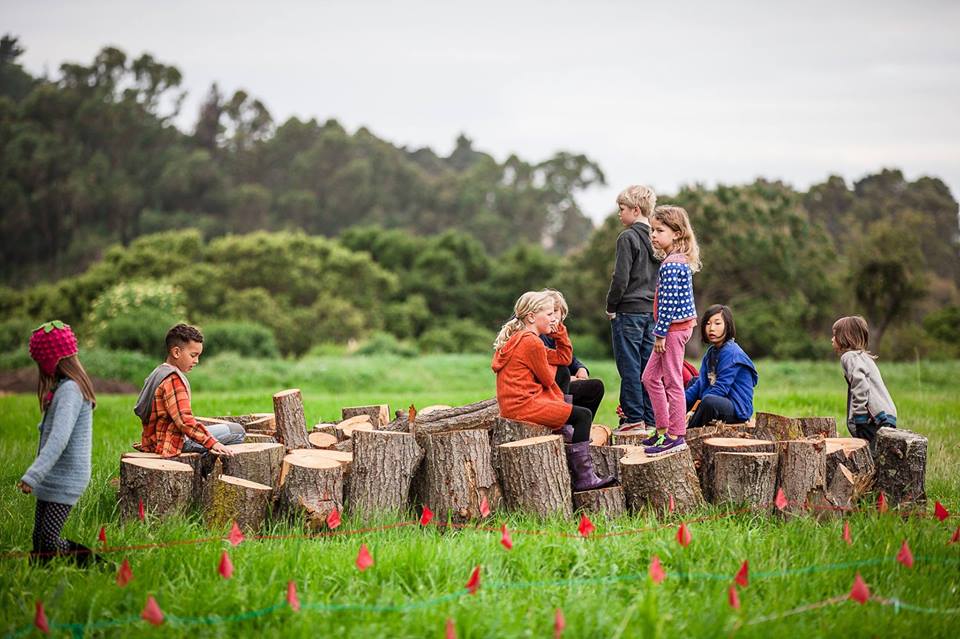 East Bay Schools | Oakland, Berkeley, Walnut Creek