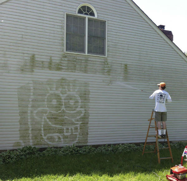 Soft Washing Services in Osage Mills AR