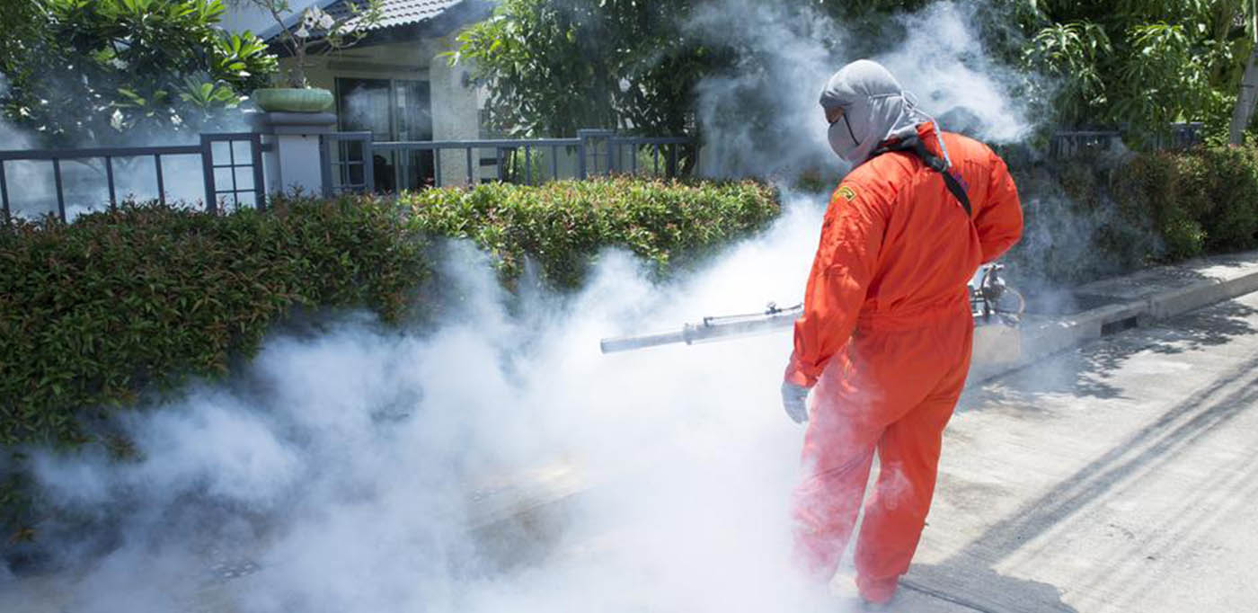 phoenix pest control,pest control phoenix