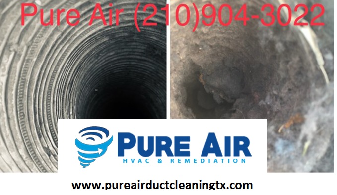 Mold Remediation San Antonio | Mold Remediation Austin
