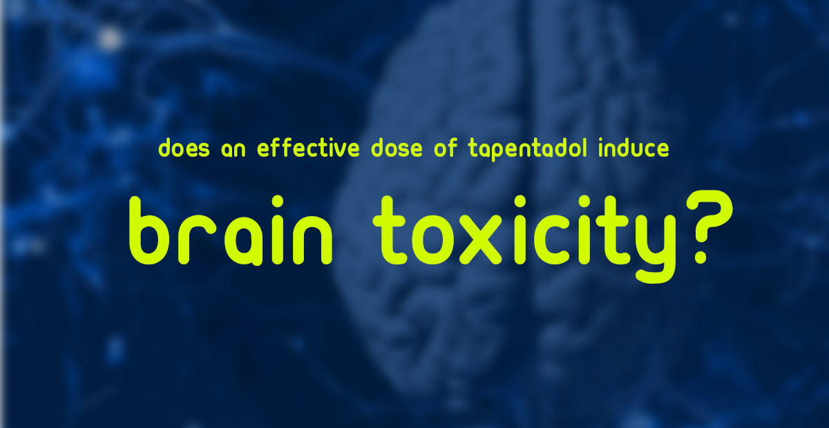 Does an effective dose of Tapentadol induce brain toxicity?