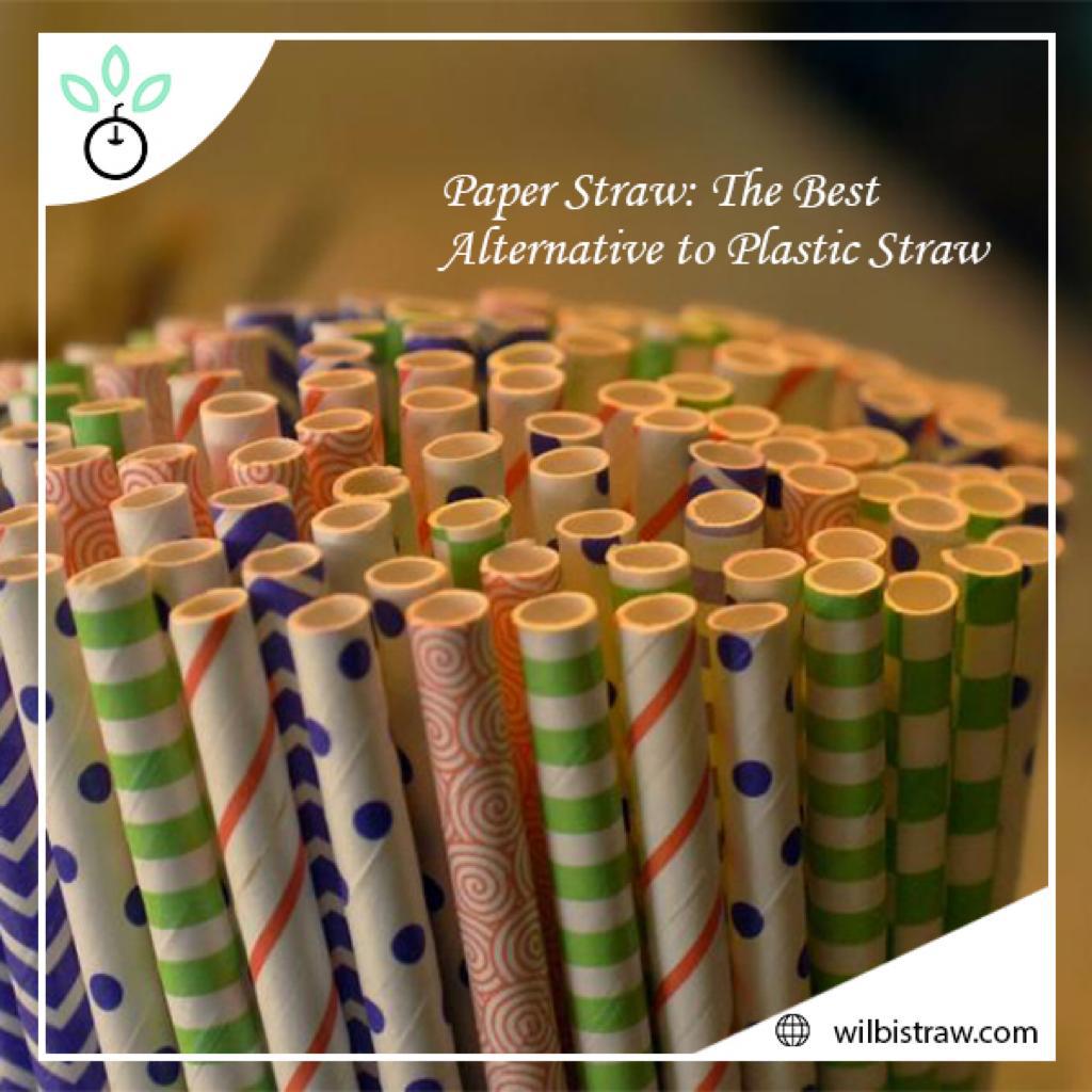 Eco Friendly Drinking Straws, Bulk Paper Straws