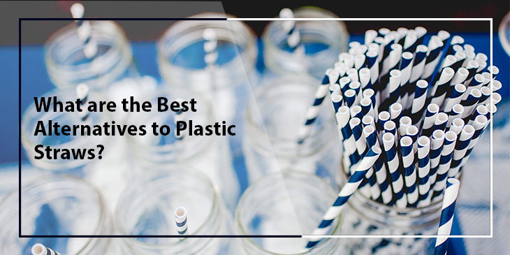 Paper vs. Plastic Straws: which one is better?