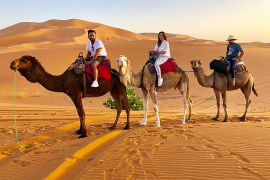 Merzouga Camel treks