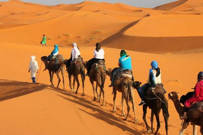 Merzouga Camel treks