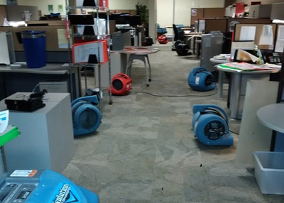 Saving Your Carpet With Carpet Drying Toronto Services