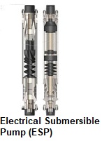 Electrical Submersible Pump (ESP) Market 2020 World Analysis and Forecast to 2025