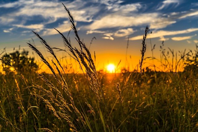 Variable Rate Technology Market to be Driven by Increasing Demand for Agricultural Output