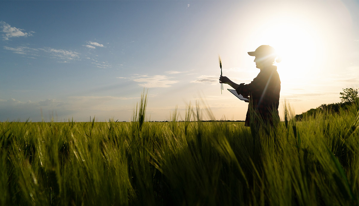 IoT Creates a Virtuous Cycle which Helps in Digitalization for Agriculture