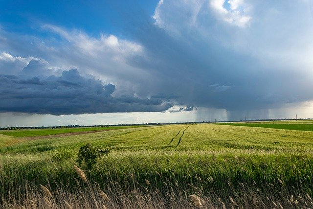 Precision Agriculture: An Efficient Way to Solve Food Crises all Over the World