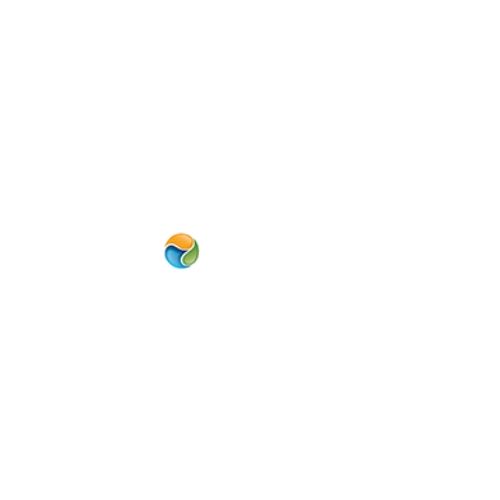 The best and affordable SEO Company