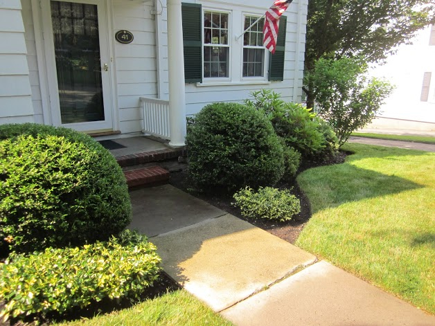 Lawn Care Services Near Me Milton MA