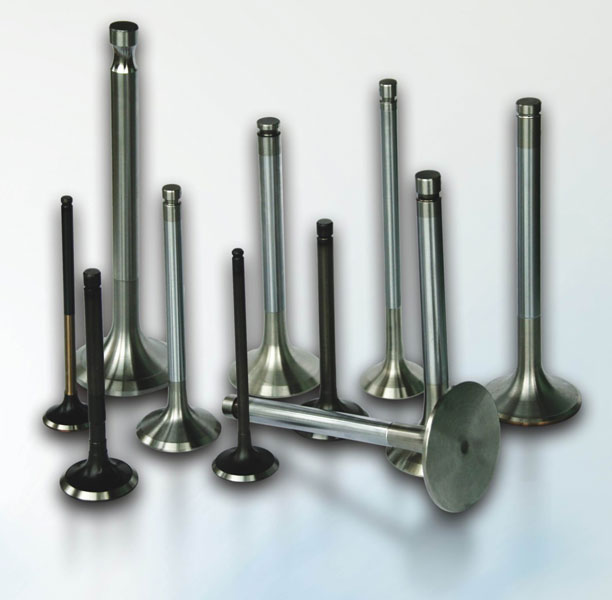 Global Automobile Engine Valve Market Report 2020 Forecast To 2025