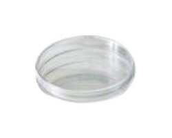 Global Petri Dishes Market Report 2020 Forecast To 2025