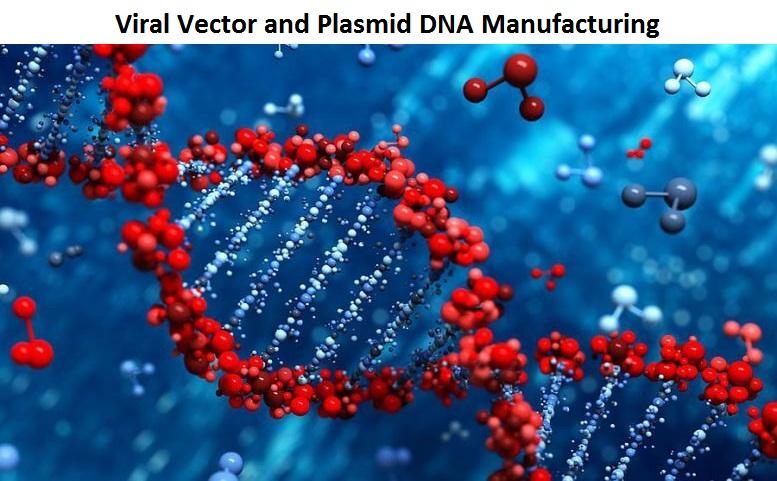 Global Viral Vectors and Plasmid DNA Manufacturing Market Report 2020 Forecast To 2025