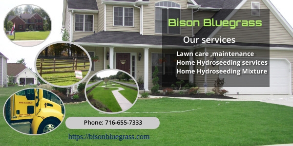 Hydroseeding Companies Near Me