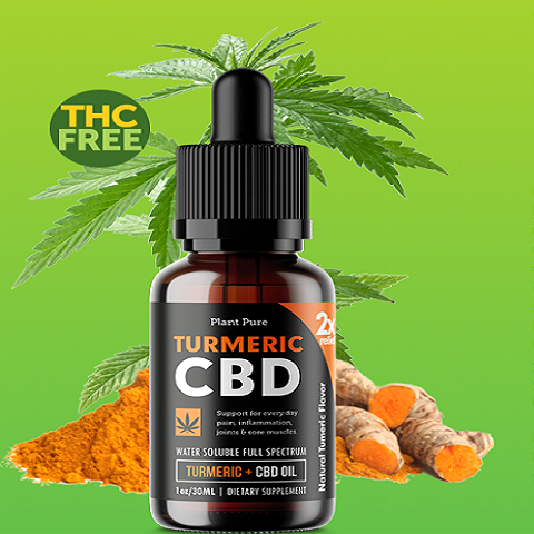 What is Plant Pure Turmeric all about?