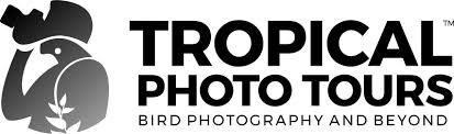 Nature Photography v/s Wild Life Photography