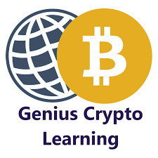 The Crypto Genius: how can it work?