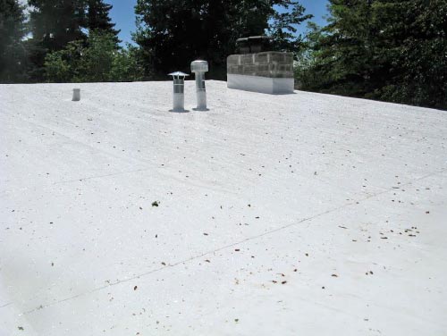 COMMERCIAL AND RESIDENTIAL ROOF CLEANING