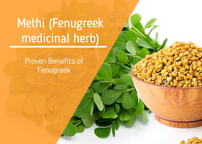 7 Proven Fenugreek benefits | Herbal Medicine | Methi Herb benefits