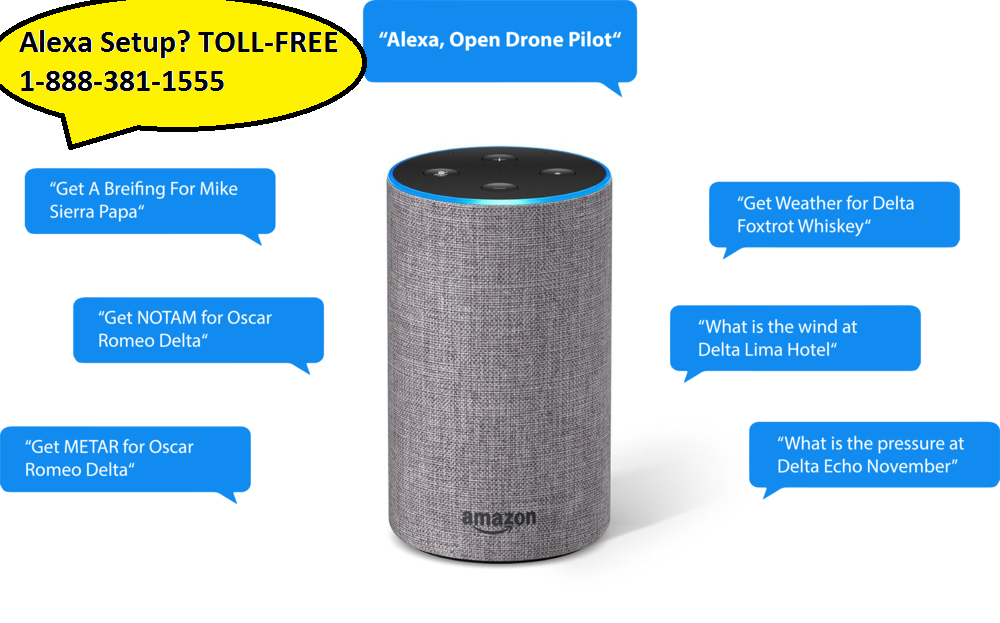What are the Amazon Alexa Skills?