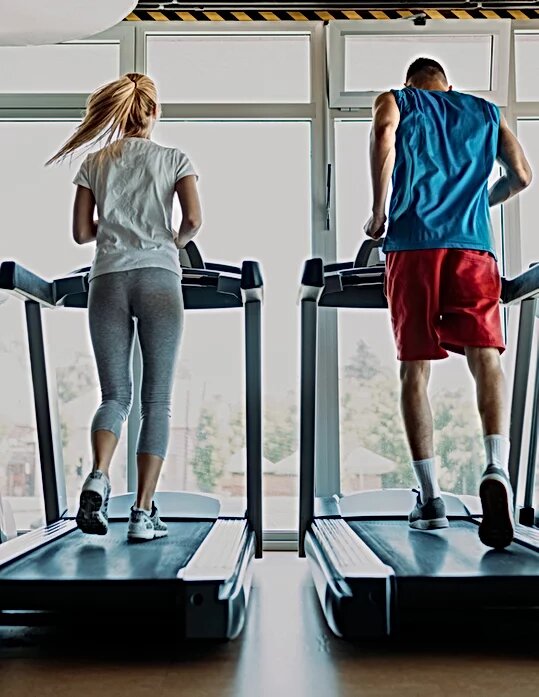 Cardio training program is the answer to your body needs