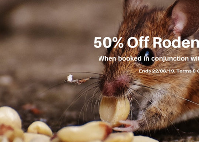 How to Keep Rodent Out Of Your Home This Winter?