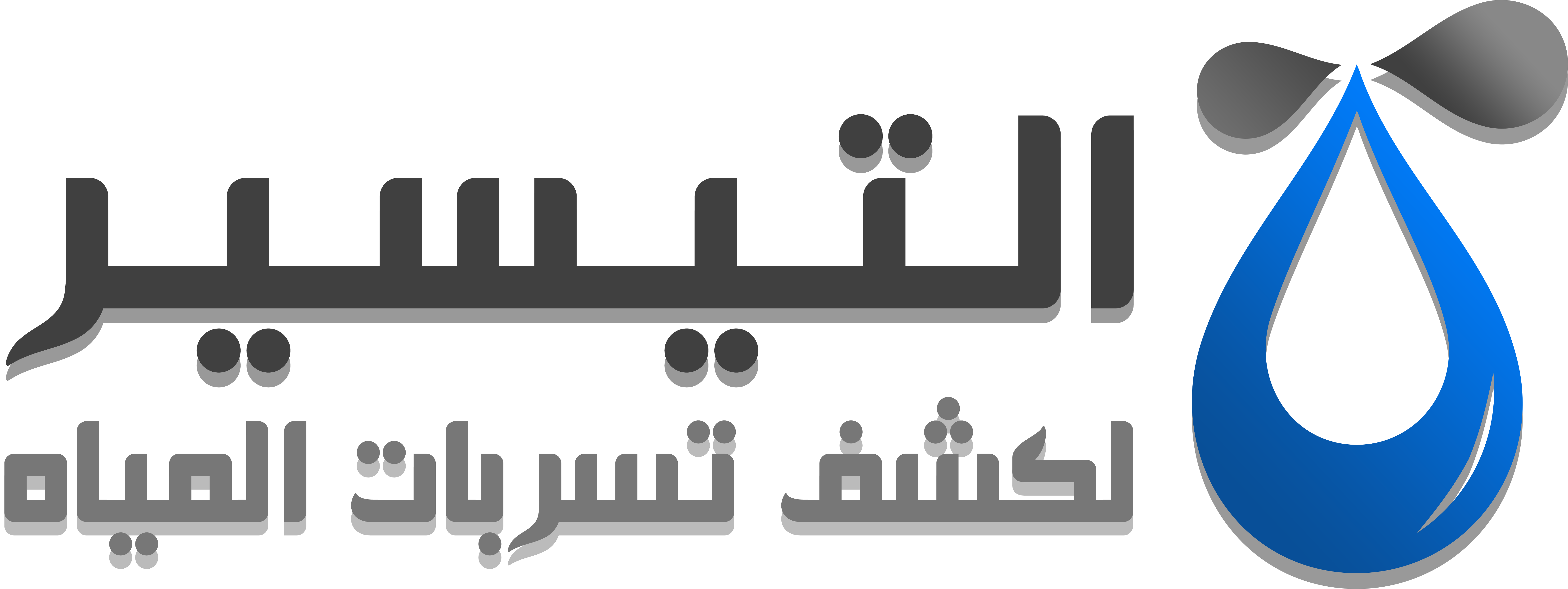 Water leak detection company in Riyadh