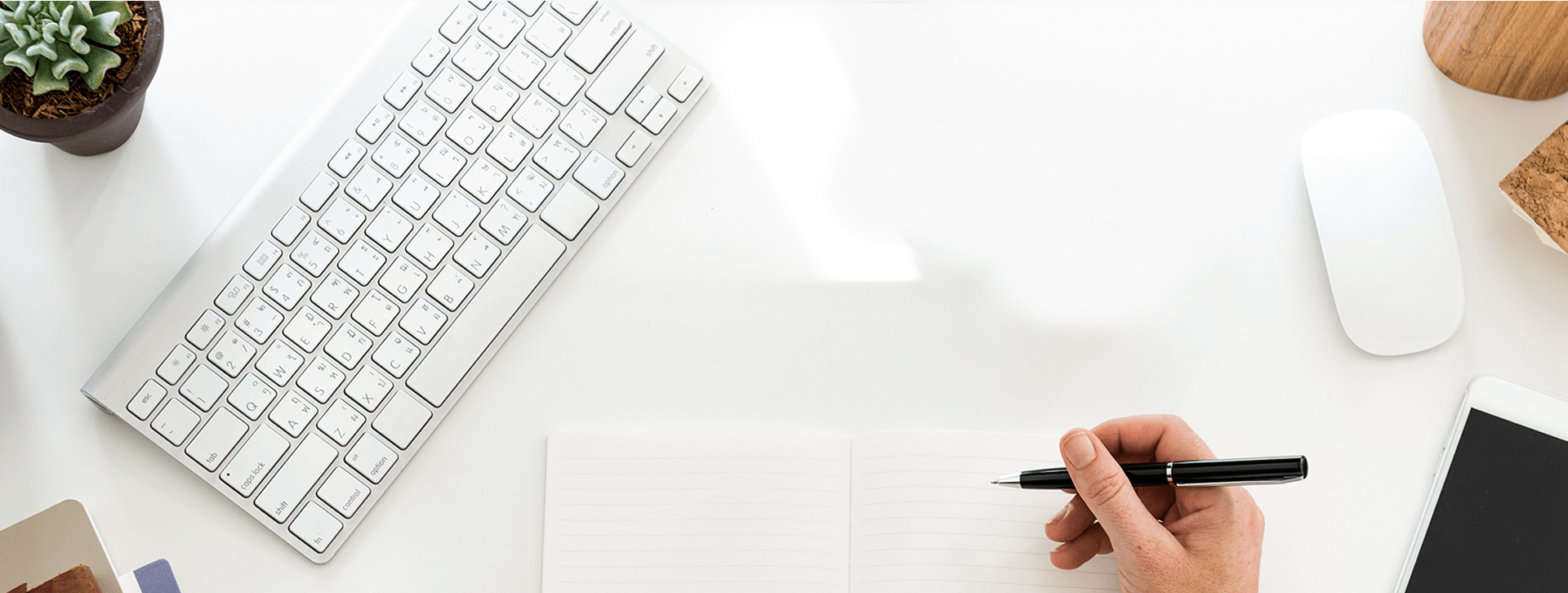 Why Tests & Quizzes Are Essential to Make School Homework Help More Effective